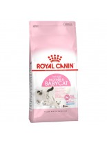 Royal Canin Mother & Baby cat – суха гранулирана храна за отбити котенца от отбиване до 4 месеца - 4 кг.