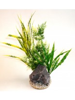 Sydeco - Aquaplant Rock XL - Изкуствено аквариумно растение - 32 см.