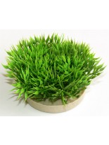 Sydeco - Green Moss - Изкуствено аквариумно растение - 7 см.