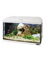 Ferplast Aquarium Capri 60 LED WHITE - аквариум с пълно оборудване и LED осветление - 60 x 31,5 x h 39,5 см - 60 л. - бял - нов код 65016111