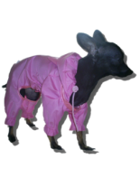 Dogyfashion Дъждобран, Размер 0, мини породи (мини пинчер, чихуа хуа и други)