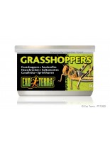 Exo Terra - Grasshoppers - консервирани щурци за влечуги и земноводни - 34 гр.