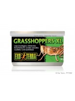 Exo Terra - Grasshoppers XL - консервирани едри щурци за влечуги и земноводни - 34 гр.