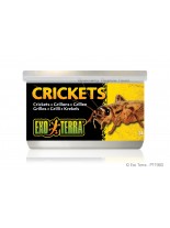 Exo Terra - Crickets - онсервирани щурци за влечуги и земноводни - 34 гр.