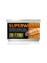 Exo Terra - Super Worms Canned Foods - неустоими консервирани супер червеи  за влечуги и земноводни - 34 гр.