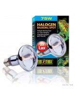 Exo Terra - Halogen Basking Spot - халогеново осветление за терариуми - 75 W.