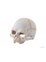 Exo Terra - Primate Skull S - декор за терариум череп на примат