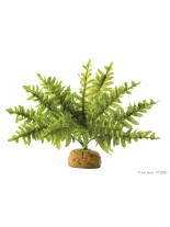 Exo Terra - Boston Fern Small - горско декоративно растение за терариум