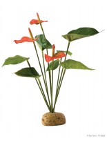 Exo Terra - Anthurium Bush - горско декоративно растение за терариум